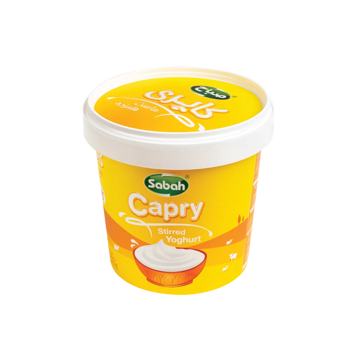 ماست چکیده سطلی