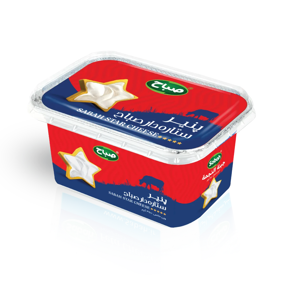پنیر ستارهدار